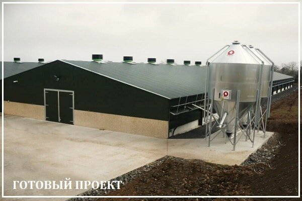 Этапы возведения птицефабрики от завода ВелесТент-сгж